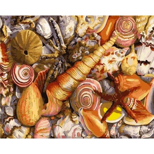 Ракушка на холсте