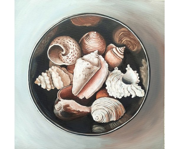 Морские раковины в живописи