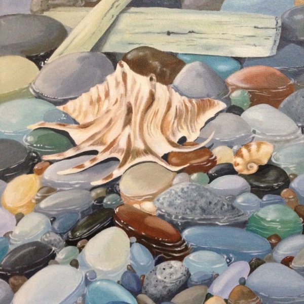 Морская раковина акварель