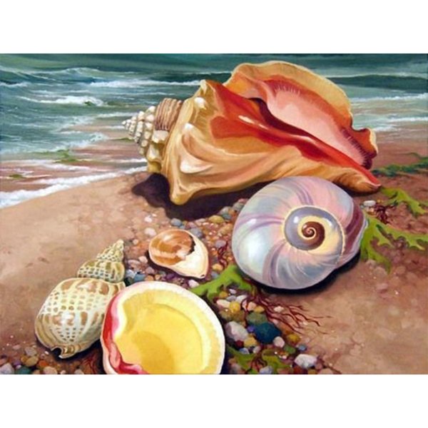 Картина ракушки 40*70