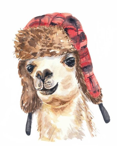 Альпака картина маслом