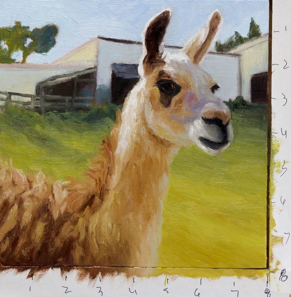 Лама на холсте