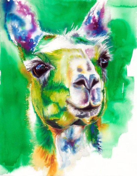 Ламы альпаки акварель