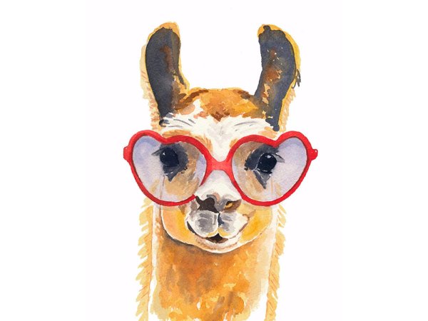 Лама маслом