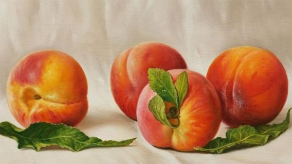 Персики живопись