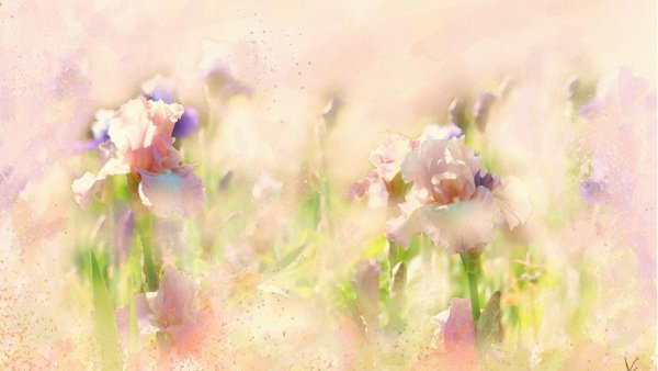 Цветочная акварель Alberto Guillen