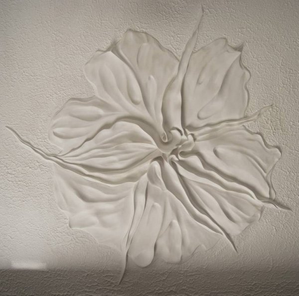 Наутилус Ким барельеф