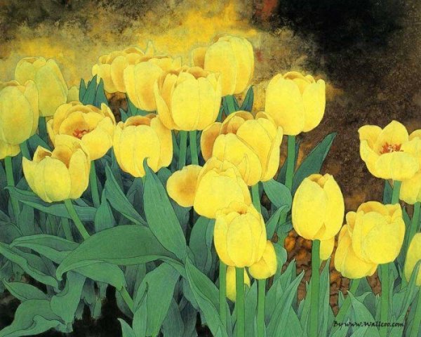 Желтые тюльпаны картины