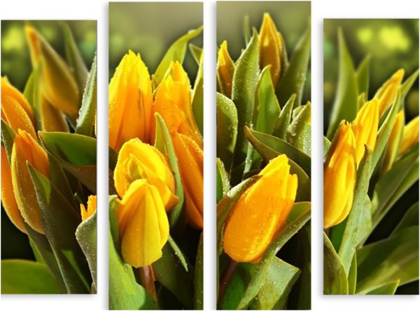 Модульная картина тюльпаны