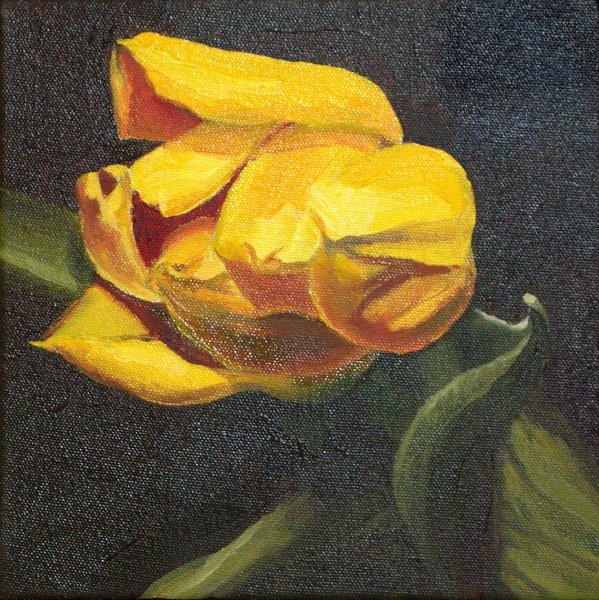 Желтые тюльпаны маслом