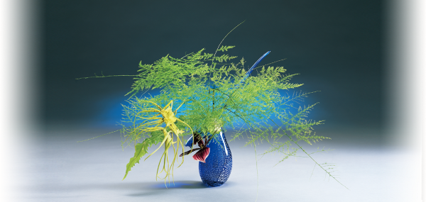 Икебана физалис