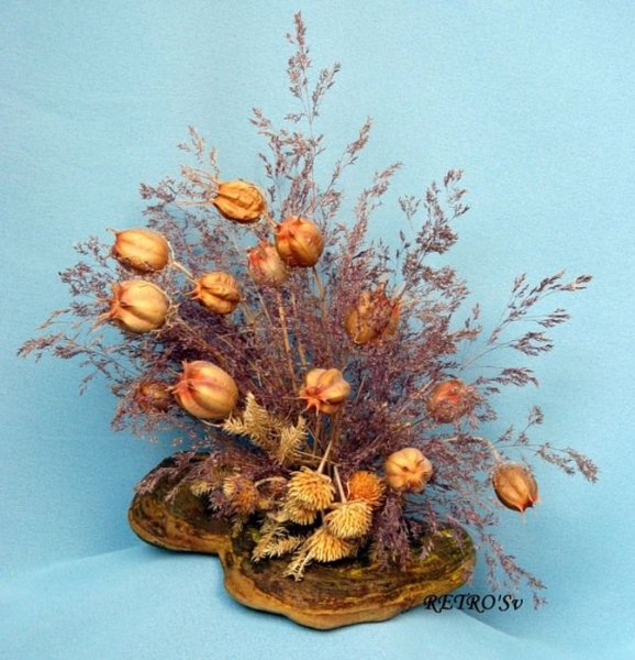 Изящные картинки на рабочий стол