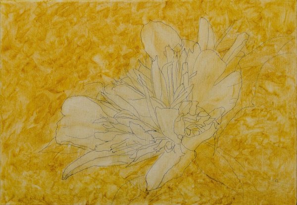 Тинторетто имприматура