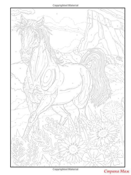 Картина по номерам для взрослых