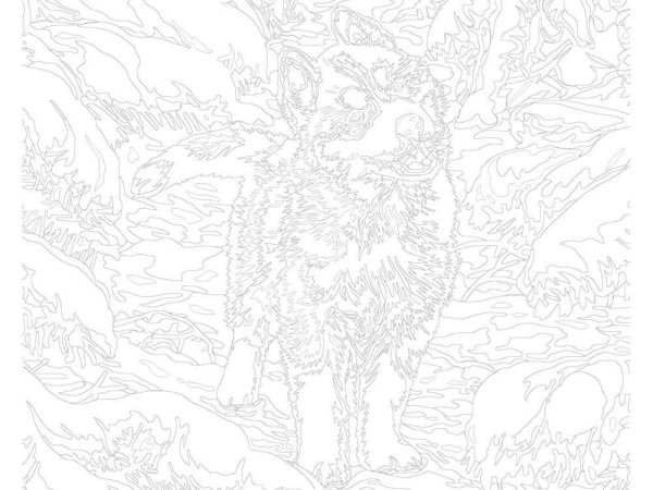 Картина по номерам раскраска