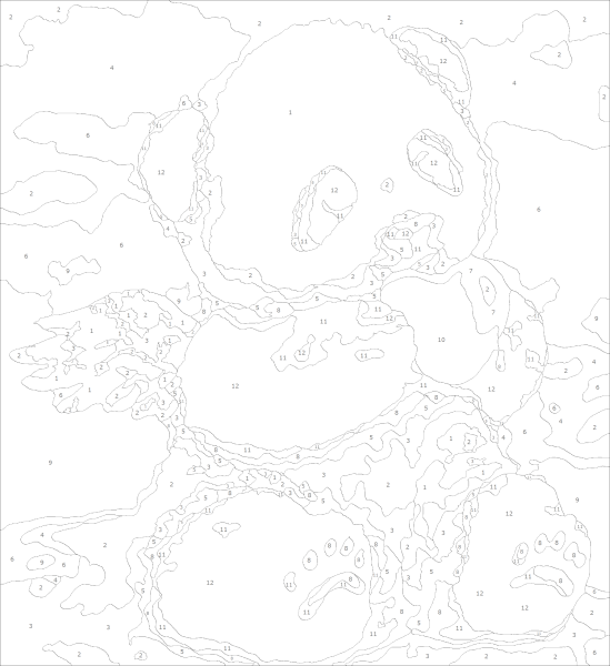 Картина по номерам эскиз