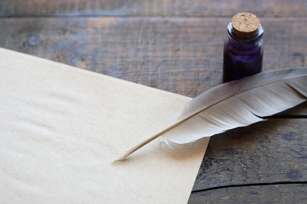 Птичьи перья для письма