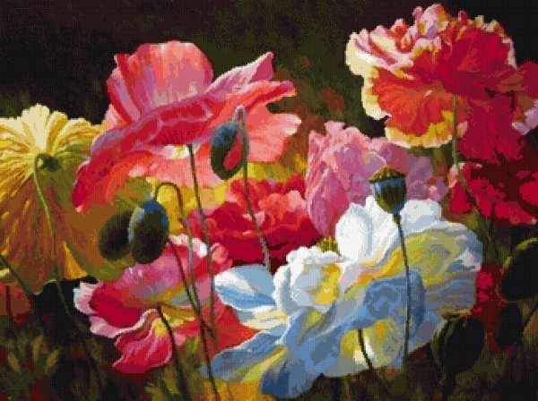 Художник Олег Буйко маки