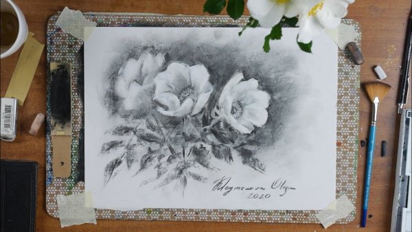 Лилия рисунок мелом