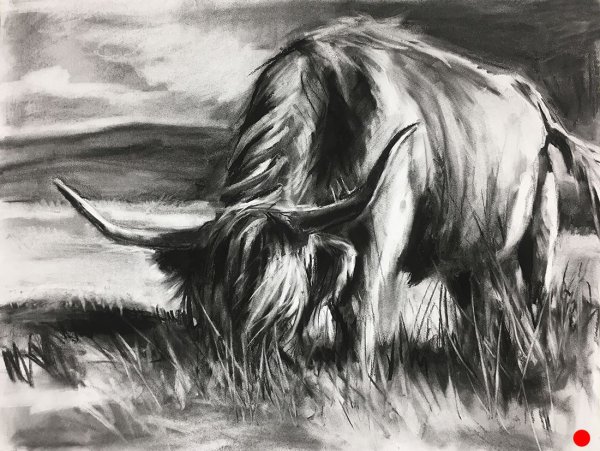 Фон для портрета углем