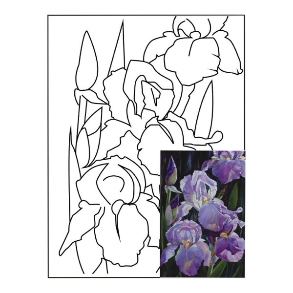 Контуры для рисования картин