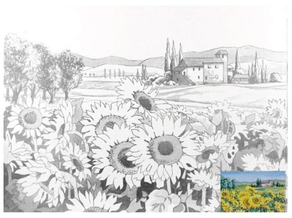 Раскраска по номерам натюрморт