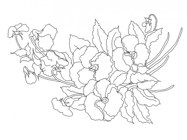 Цветы уголком антистресс