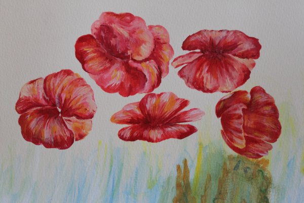 Цветы Графика