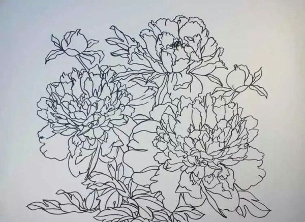 Линейные Наброски цветов