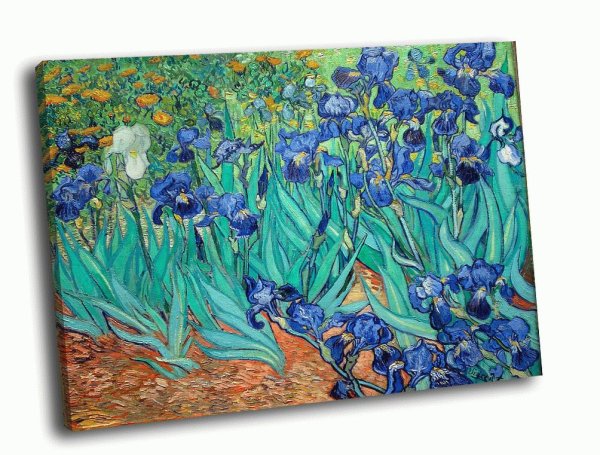 Холст. Винсент Ван Гог "ирисы"
