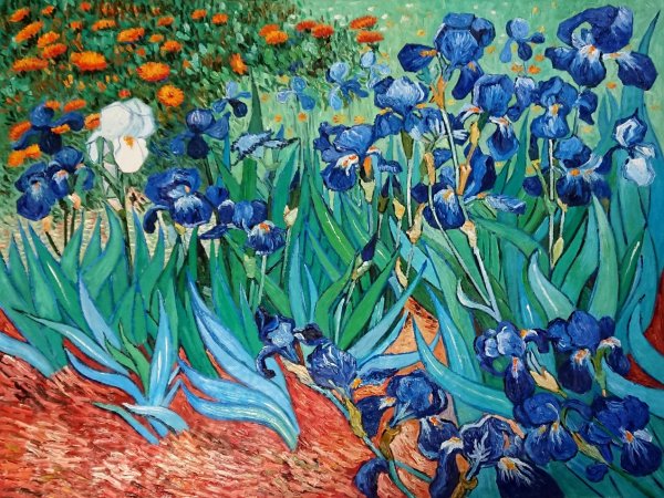 Постимпрессионизм Ван Гог ирисы