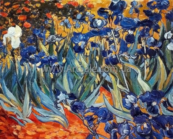 Ирисовое поле Ван Гог