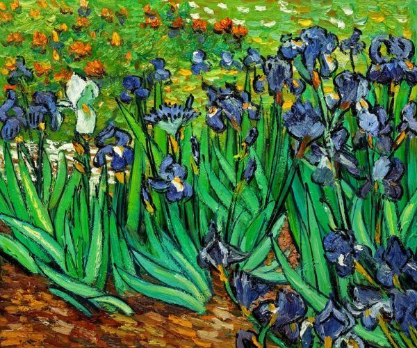 Винсент Ван Гог ирисы 1889 оригинал