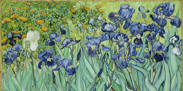 Винсент Ван Гог ирисы оригинал