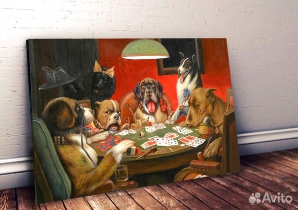 Кассиус Кулидж собаки