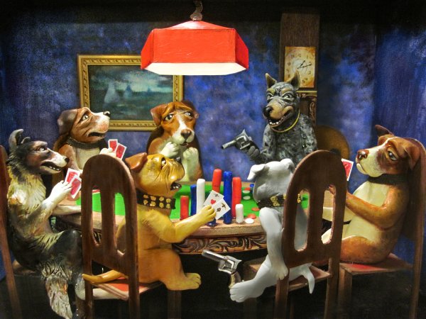 Кассиус Кулидж собаки бильярд