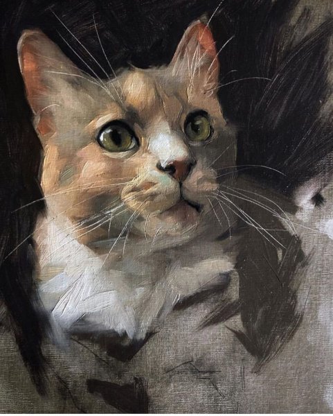 Дженнифер Дженнари кошки