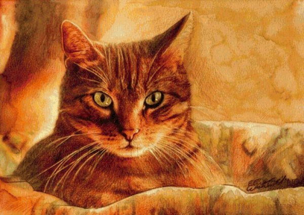 Aurora Wienhold картины