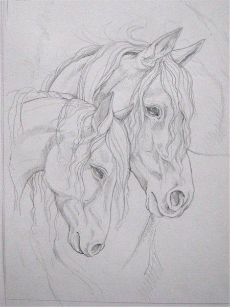 Картины лошадей карандашом