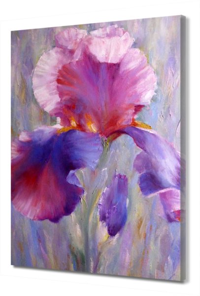 Маргарита Манис ирисы