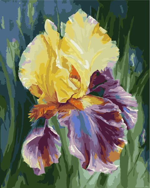 Ирисы художница Marianne Broome