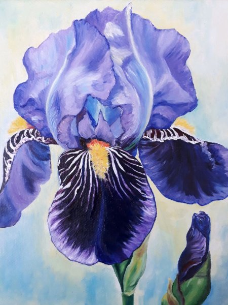 Ирисы художница Marianne Broome