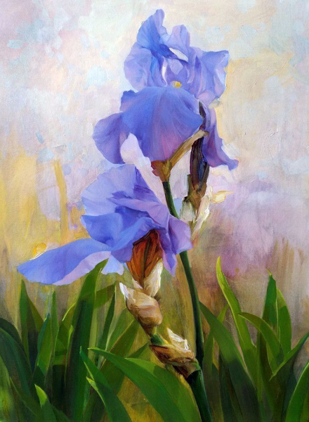 Гелена Павленко ирисы