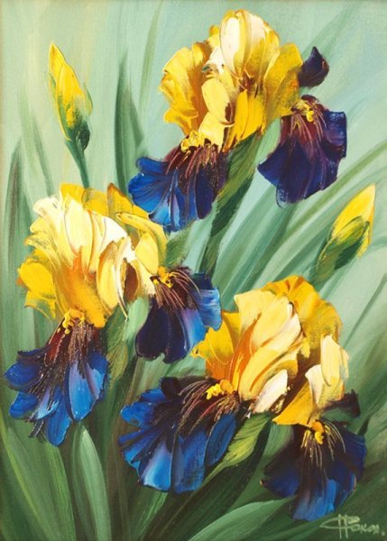 Ирисы Галины Клименко( Минака)
