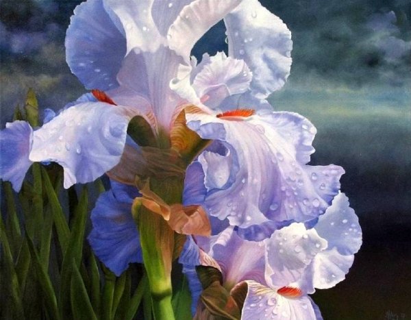 Hilary Eddy художник