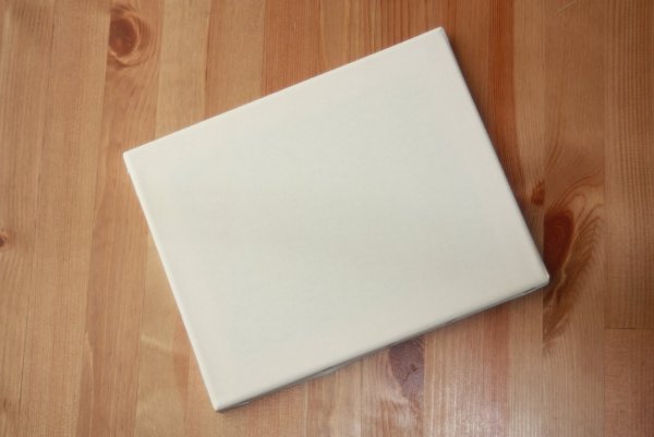 Чистый холст