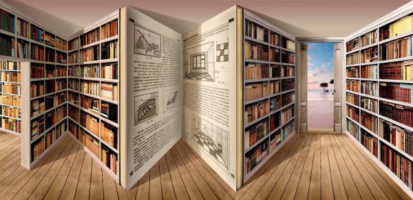 Фон библиотека для фотошопа горизонтальный