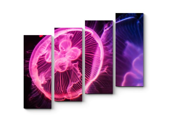 Модульные Неоновые картины