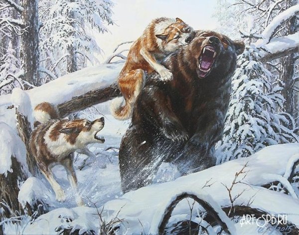 Художник анималист Татьяна Данчурова