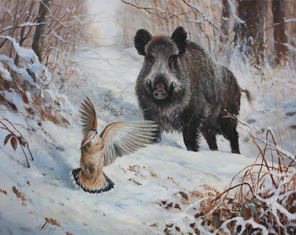 Художник анималист Dominique Pinon